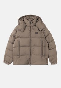 JACKET - Dunjacka - walnut