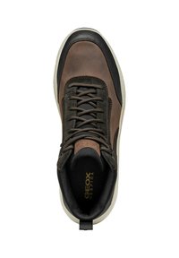 Zapatilla de cuero marrón con acentos negros. Cuenta con cierre de cordones, cuello acolchado y forro de tejido. Suela de goma blanca con dibujo. Marca Geox visible.