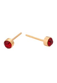 Guldtonede øreringe med studs, der har runde, facetterede røde ædelsten. Glat metaldesign med en poleret overflade og minimalistisk form.