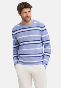 Maglione azzurro chiaro con righe orizzontali in blu scuro e bianco. Presenta un colletto rotondo e polsini a costine, realizzato in tessuto a maglia testurizzata.