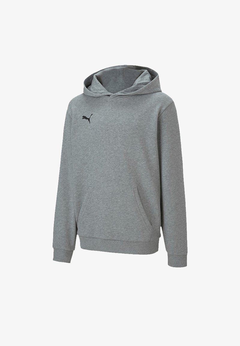 Puma TEAMGOAL 23 CASUALS HOODY JR UNISEX - Felpa - grau