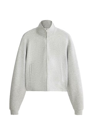 Lichtgrijze cropped zip-up sweatshirt met hoge kraag, lange mouwen en twee verticale zijzakken.