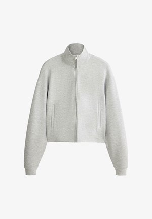 Lichtgrijze cropped zip-up sweatshirt met hoge kraag, lange mouwen en twee verticale zijzakken.