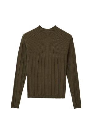 Maglione a maniche lunghe in rib bicolore verde oliva con collo rotondo alto e silhouette aderente su uno sfondo bianco.