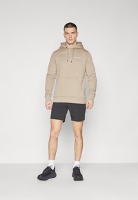 Peak Performance ORIGINAL GRAPHIC HOOD AVID - Hoodie - avid beige