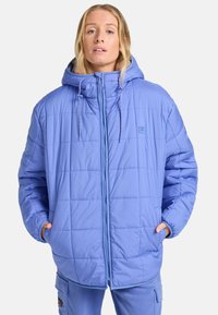 HAPPY CAMPER - PUFFER - Zimná bunda - irs