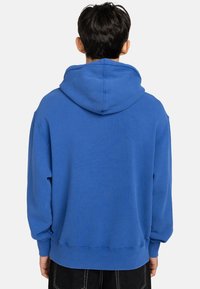 Persona che indossa un semplice hoodie blu vista da dietro su uno sfondo bianco.