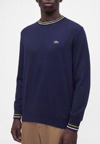Homme portant un pull bleu marine à manches longues avec un col et des poignets rayés, avec un petit logo crocodile sur la poitrine, et un pantalon beige.