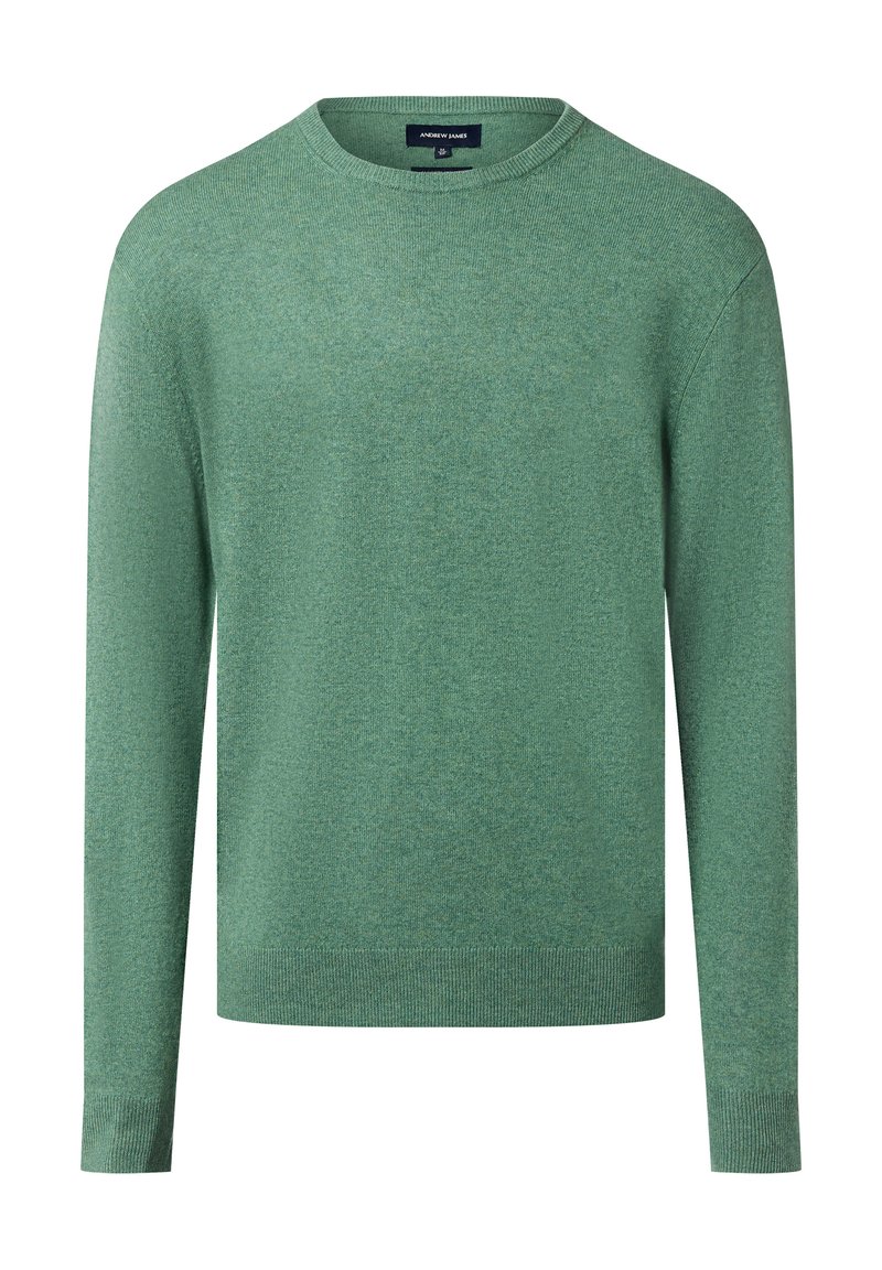 Grüner Strickpullover mit langen Ärmeln, rundem Ausschnitt und gerippten Bündchen. Der Stoff hat eine feine Textur und eine gleichmäßige Farbe.
