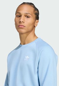 Lyseblå hettegenser med rund hals og raglan-ermer. Har en liten hvit Adidas-logo på brystet. Myk og glatt tekstur.