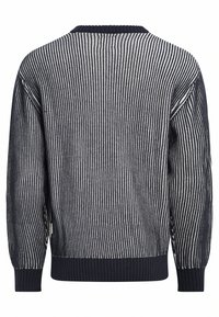 Redefined Rebel COLE BOXY - Pulover - sky captain
