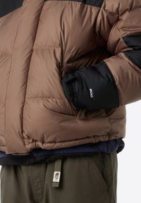 The North Face M HMLYN BALTORO JACKET - Winterjacke - mocha brown/tnf black