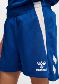 Primer plano de pantalones cortos deportivos azules con franjas laterales blancas y logo de hummel en la parte inferior del muslo, usados por una persona de pie.