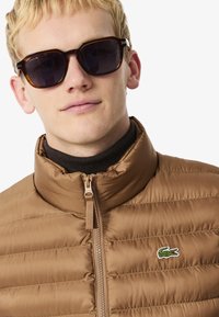 Bruine gewatteerde jas met hoge kraag en horizontale stiksels, met een groen krokodillenlogo. Model draagt donkere zonnebril en een zwarte coltrui.