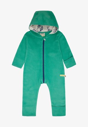 Groene fleece overall met capuchon, voorzien van een rits aan de voorkant en een gevoerde binnenkant met patronen van wasbeerillustraties. Elastische manchetten bij de mouwen.
