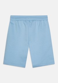 Shorts bleu clair en tissu doux et extensible avec une taille élastique. Présente un ourlet droit et net sans motifs ni détails supplémentaires.