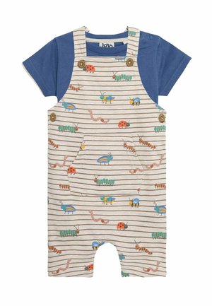 Stribet dungaree romper med en blå kortærmet skjorte; har farverige insektmønstre og træknapdetaljer på skulderen.