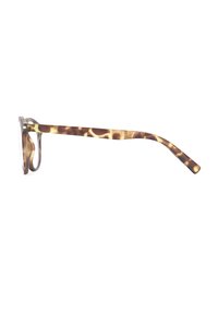 Sinner PATNEM - Lunettes de soleil - olive/tortoise