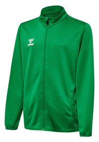 Grøn zip-up jakke lavet af glat stof, med høj krave, sidelommer og et logo på den øverste venstre side. Ingen yderligere mønstre.