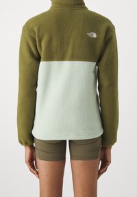 Fleecejacka med grön ovandel och ljus mintfärgad nedre del, hög krage och logotypdetalj på baksidan. Mjuk känsla och långa ärmar.