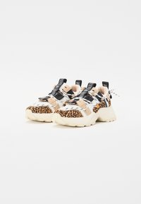Steve Madden TAZMANIA - Trainers - brown