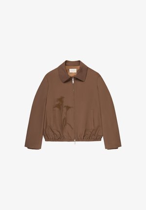 Brązowa kurtka na zamek z kołnierzem, elastycznym pasem i dwoma bocznymi kieszeniami, przedstawiona na białym tle.