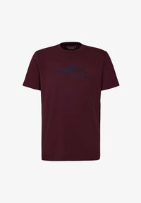 Ausgewählt, barolo (8526)