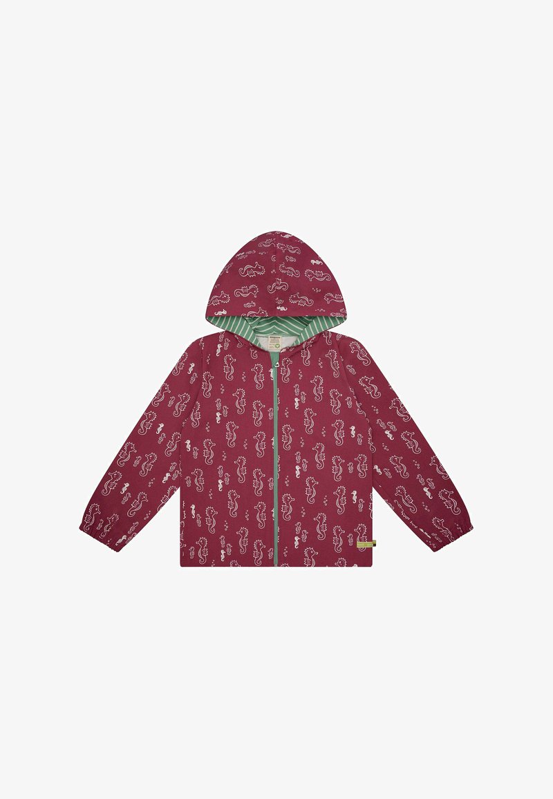 Rote wasserdichte Jacke mit weißen Seesternmustern, grün gestreiftem Innenfutter der Kapuze, Frontreißverschluss und langen Ärmeln. Glatte Textur, leichtes Design.