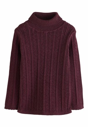 REGULAR FIT-ROLL NECK - Džemper - purple