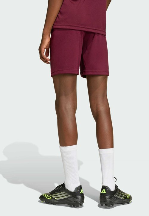 adidas PERFORMANCE ENTRADA26 SHORTS KIDS UNISEX - Pantalón corto de deporte - team maroon white — photo 2