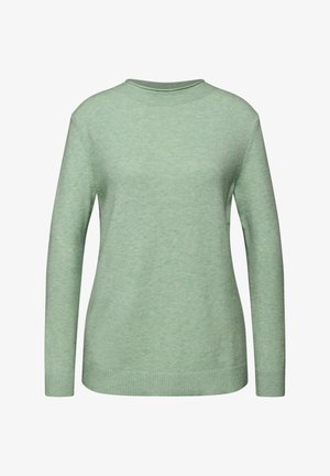 Lichtgroene trui met lange mouwen, ronde hals, geribbelde manchetten en onderrand, gemaakt van een zachte, textuurstof. Eenvoudig ontwerp in effen kleur.