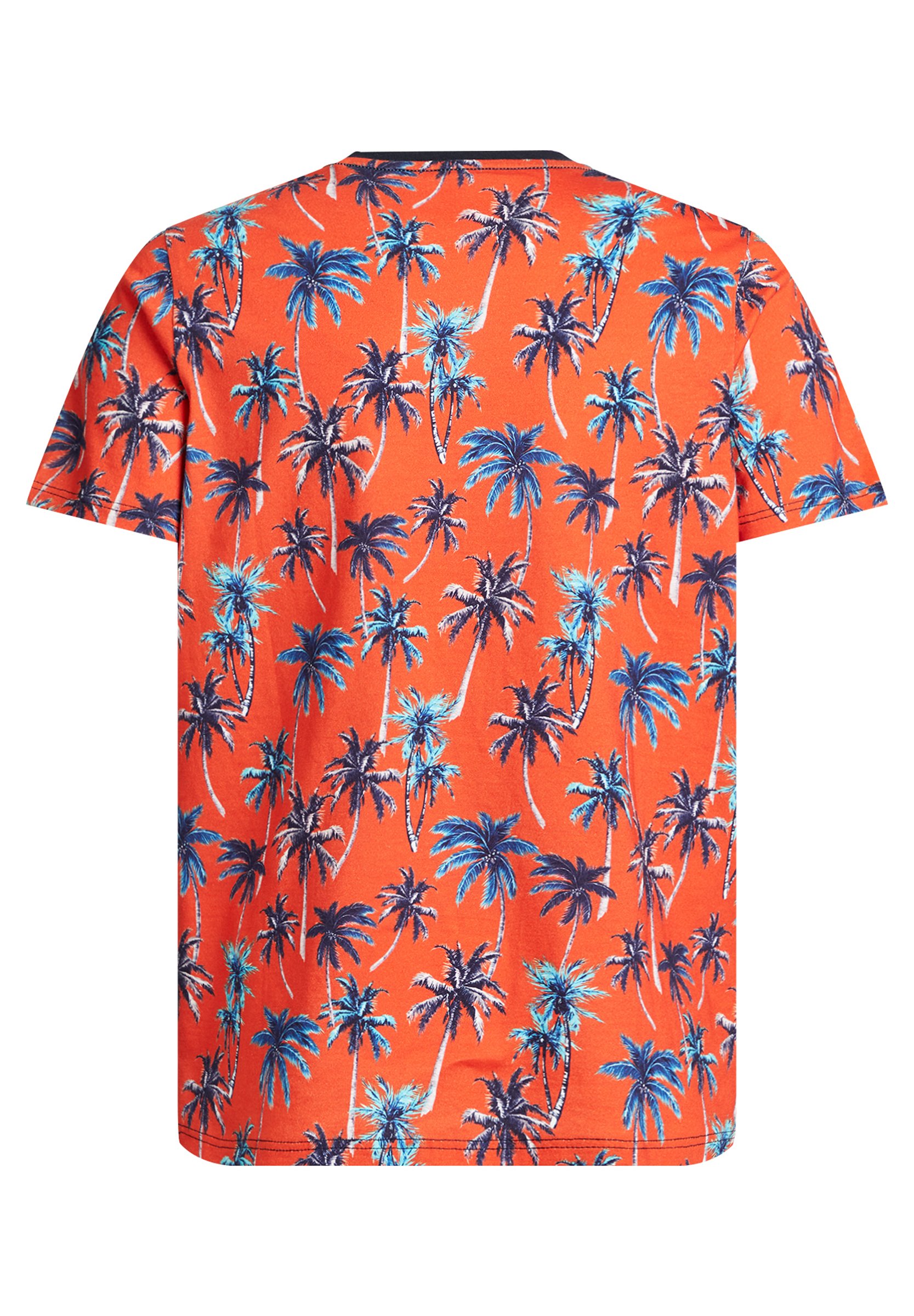 Orange fashion shirts Clearance