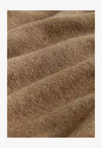 Non selezionato, camel