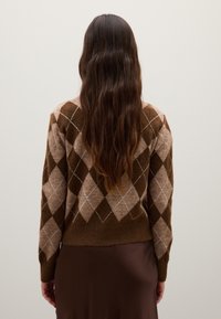 Bruine en beige argyle-gepatroneerde trui met lange mouwen, zachte textuur en een cropped lengte. De achterkant is eenvoudig met een geribbelde zoom.