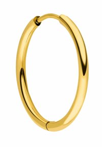 Goldene Creolen mit einem glatten, abgerundeten Design, ausgestattet mit einem Scharnierverschluss und polierter Oberfläche. Keine sichtbaren Muster oder zusätzlichen Akzente.