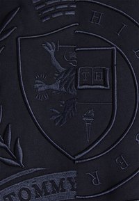 Sudadera de un oscuro color navy con un elaborado emblema bordado que presenta un león, una antorcha y detalles en texto, mostrando una textura suave y una forma redondeada.
