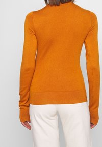 Orangener gestrickter Pullover mit langen Ärmeln, der ein tailliertes Design und einen gerippten Saum aufweist. Das Material erscheint weich und die Textur ist glatt.