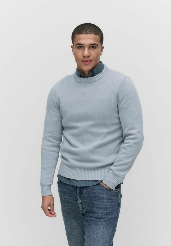 LANEGAN CREW NECK - Strickpullover