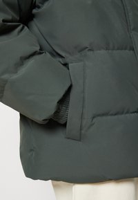 Carhartt WIP DANVILLE JACKET - Winter jacket - boxwood/black
