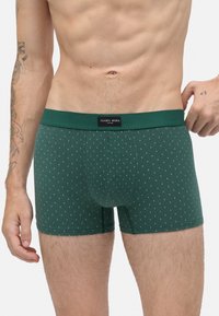Hombre vistiendo boxers verdes con pequeños puntos blancos y una etiqueta negra en la cinturilla, mostrando el torso y la parte superior de los muslos.