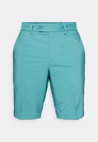Valittu, teal