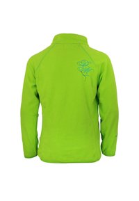 Peak Mountain Fleece trui - vert