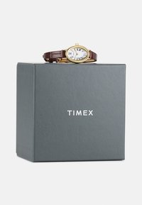 Timex Watch - brown