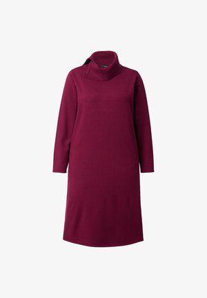 Bordeaux strikket kjole med høj cowl-halsudskæring, lange ærmer og en afslappet pasform. Glat tekstur og mellemlang nederkant.