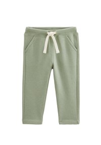 Non sélectionné, agave