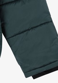 Heren geïsoleerde jas in donkergroen, met doorgestikte secties, een gladde textuur en een zwarte zoom. Ontworpen voor warmte en bescherming.