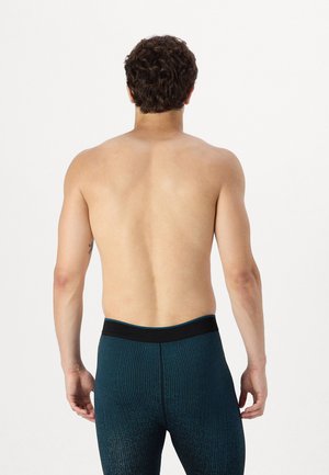 BL BOTTOM LONG PERFORMANCE WARM BLACKCOMB - Langunderbukse - provincial blue