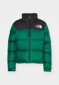 RETRO NUPTSE JACKET - Puhovka - evergreen