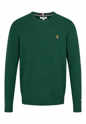 U.S. Polo Assn. KETIL - Striktrøje - rain forest mélange