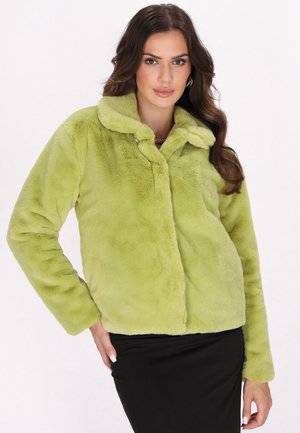 Vrouw met lang bruin haar draagt een lichtgroene pluizige jas en een zwarte rok, staand tegen een effen witte achtergrond.